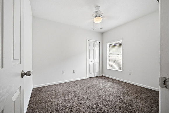 510FiddleleafNEW_009