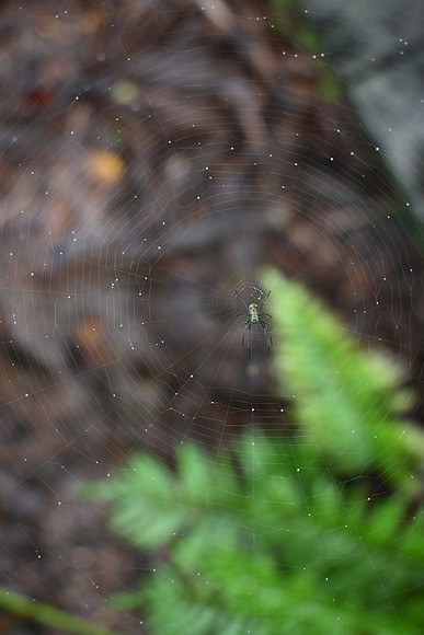 DSC_0033