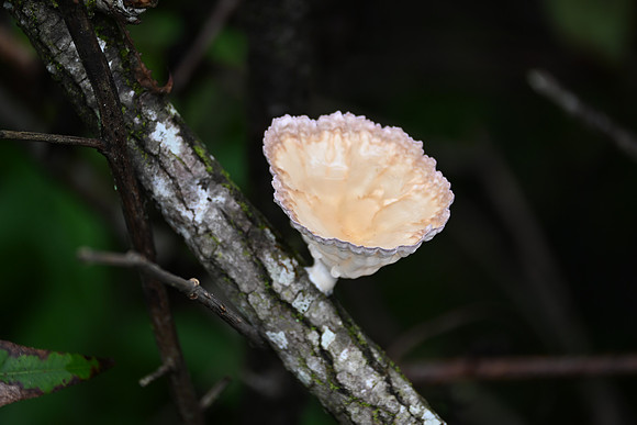 DSC_0057