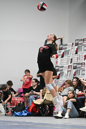 DSC_0390