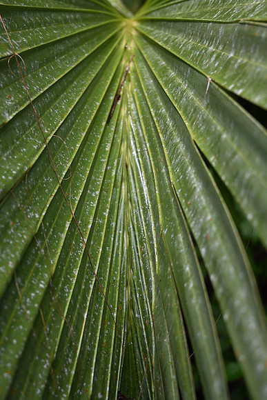 DSC_0019