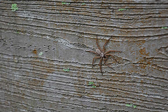 DSC_0069