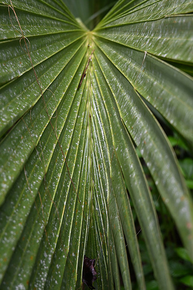 DSC_0018